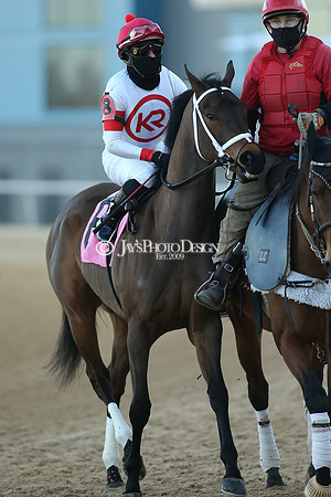 z210306_Honeybee Stakes_Manning_0675