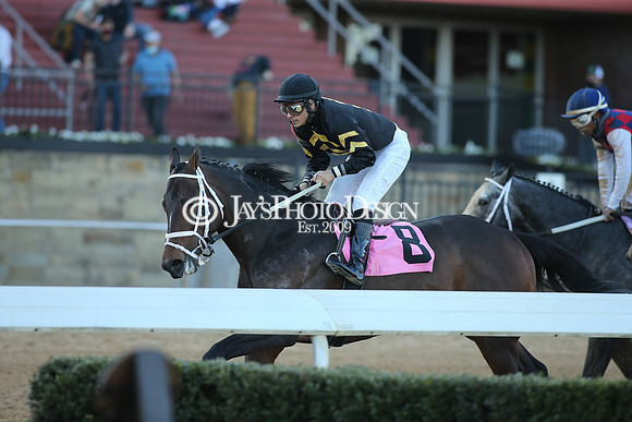 z210306_Honeybee Stakes_Manning_0425