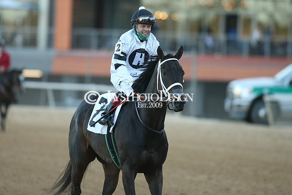 z210306_Honeybee Stakes_Manning_0810