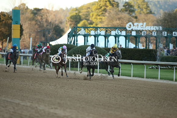 z210306_Honeybee Stakes_Manning_0758