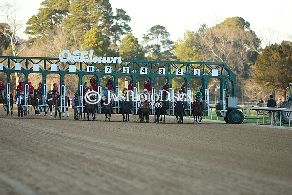 z210306_Honeybee Stakes_Manning_0686