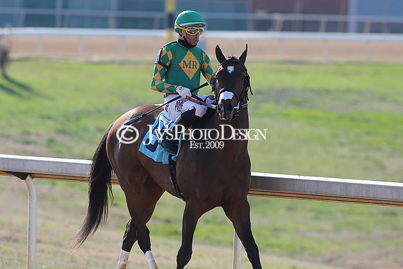 z210306_Honeybee Stakes_Manning_0943