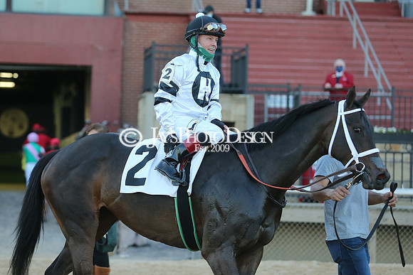 z210306_Honeybee Stakes_Manning_0833