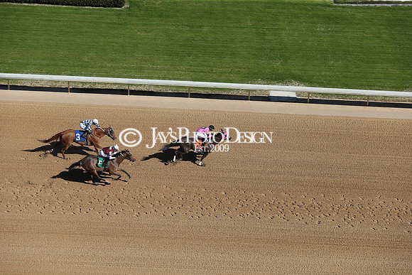 z210306_Honeybee Stakes_Manning_0053