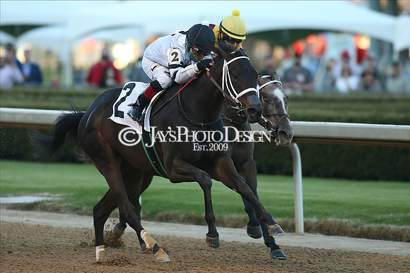 z210306_Honeybee Stakes_Manning_0771