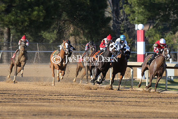 z210306_Honeybee Stakes_Manning_1023