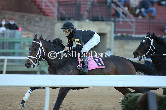 z210306_Honeybee Stakes_Manning_0403