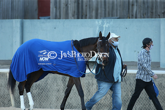z210306_Honeybee Stakes_Manning_0457