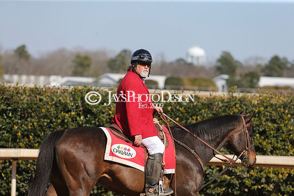 z210306_Honeybee Stakes_Manning_0201