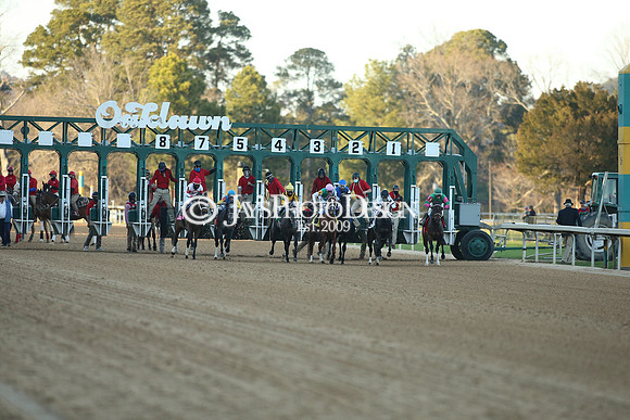 z210306_Honeybee Stakes_Manning_0693