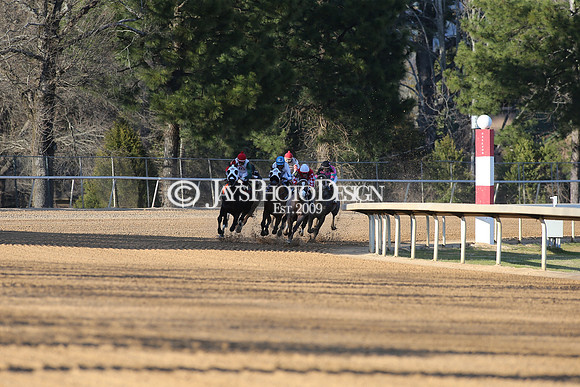z210306_Honeybee Stakes_Manning_1010