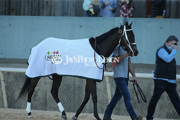 z210306_Honeybee Stakes_Manning_0503