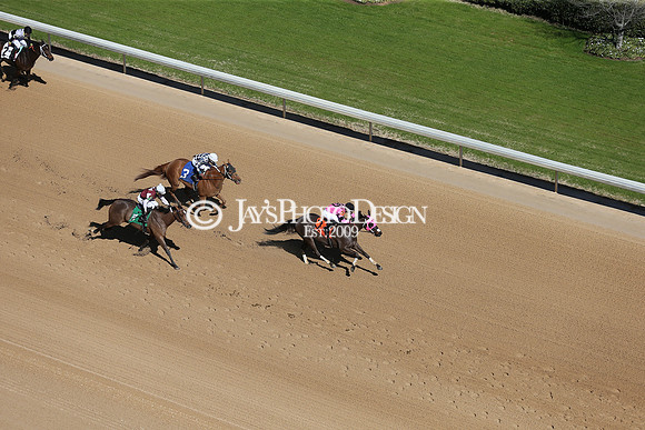 z210306_Honeybee Stakes_Manning_0045
