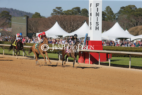 z210306_Honeybee Stakes_Manning_0262