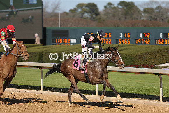 z210306_Honeybee Stakes_Manning_0268