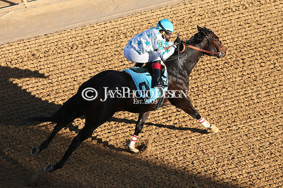 z210306_Honeybee Stakes_Manning_0348