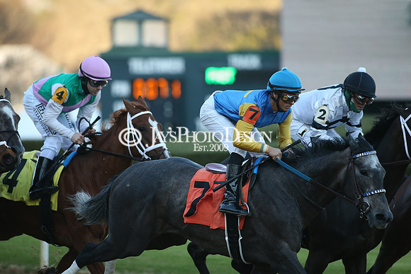 z210306_Honeybee Stakes_Manning_0728