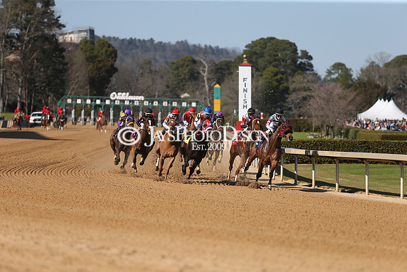 z210306_Honeybee Stakes_Manning_0223