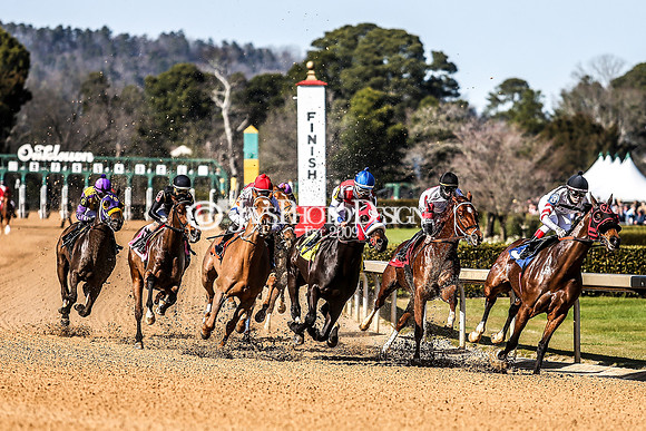 z210306_Honeybee Stakes_Manning_0228-2