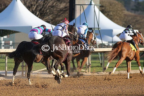 z210306_Honeybee Stakes_Manning_1040
