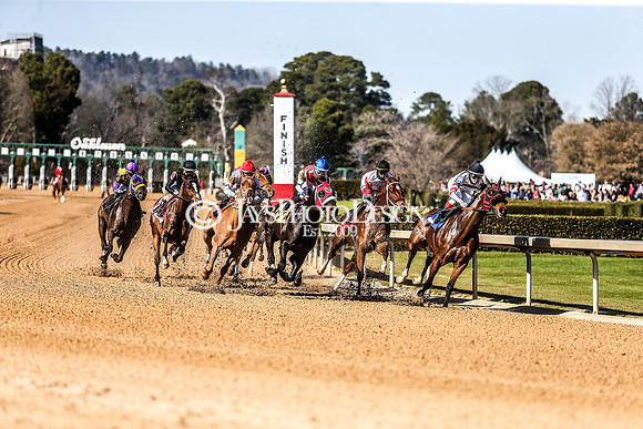 z210306_Honeybee Stakes_Manning_0228-2