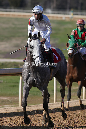z210306_Honeybee Stakes_Manning_0980