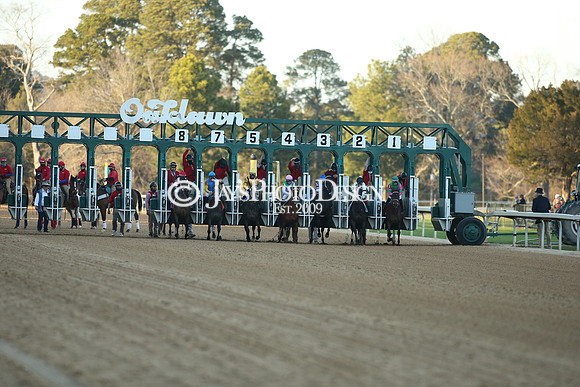 z210306_Honeybee Stakes_Manning_0685