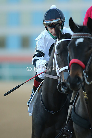 z210306_Honeybee Stakes_Manning_0647