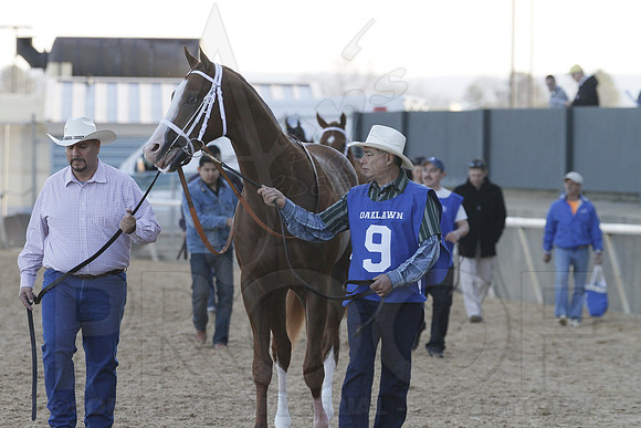 Oaklawn 1-21-13 (Smarty Jones Stakes) (Justin Manning)0276