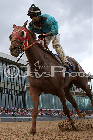 Oaklawn_0129