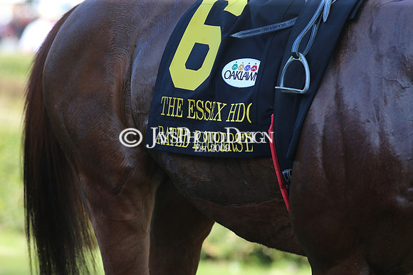 z220319_WhitmoreStakesday_Manning_0593