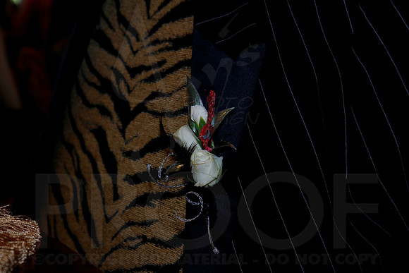 Glen Rose Senior Prom 4-19-13 (© Justin Manning) JWM0188