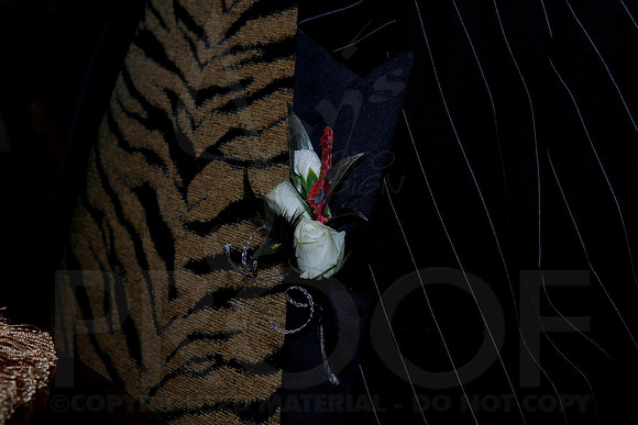 Glen Rose Senior Prom 4-19-13 (© Justin Manning) JWM0187