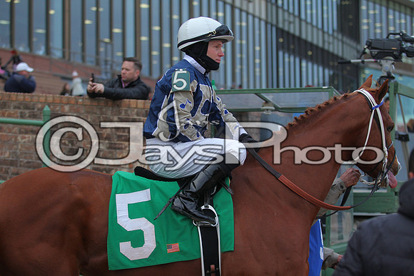 Oaklawn Smarty Jones Stakes 1-18-2016 (©Justin Manning) JWM_(0152