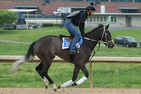 Arkansas Derby 4-11-2014 (© Justin Manning) JWM_0190