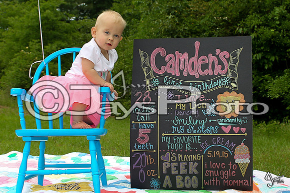Camden's 1st Birthday pictures_0310