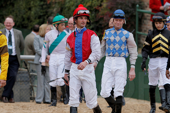 The 54th running of the Razorback Handicap 3-9-13 JWM0074 (©Justin Manning)