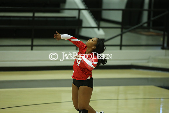 Camden Fairview @ Malvern JV_JWM_0367