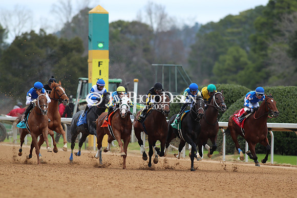 z250104_SmartyJonesStakesDay _JWM_0216