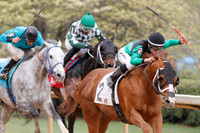 Fantasy Stakes 4-5-2014 (© Justin Manning) JWM_0224