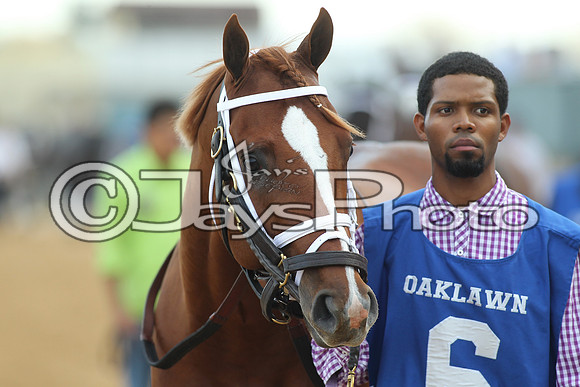 JWM_170318_RebelStakes_00597