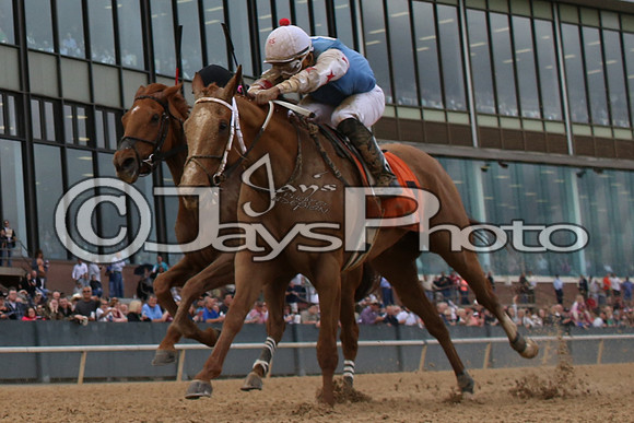 Oaklawn_0120