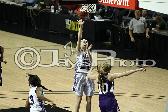 Riverview vs. Ozark 4A Girls State Finals 3-13-2015 (©Justin Manning) JWM_323