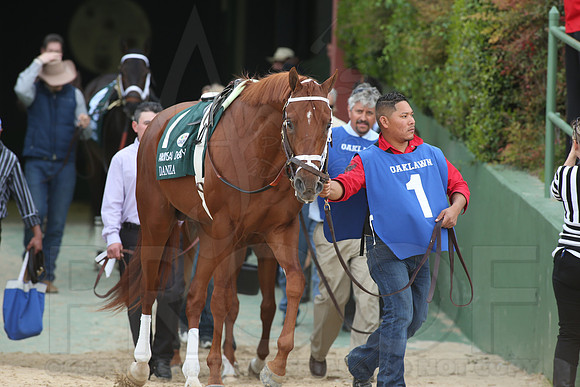Arkansas Derby 4-12-2014 (© Justin Manning) JWM_0746