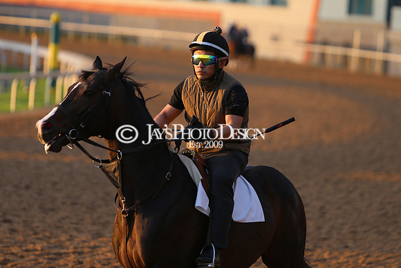 z240330_ArkansasDerbyDay_JWM_0114