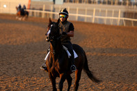 z240330_ArkansasDerbyDay_JWM_0111