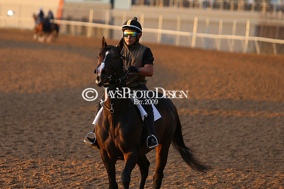 z240330_ArkansasDerbyDay_JWM_0111