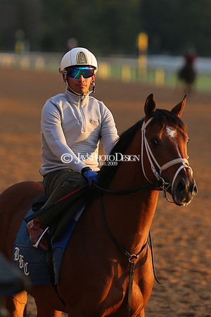 z240330_ArkansasDerbyDay_JWM_0115