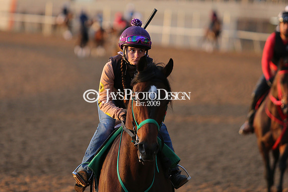 z240330_ArkansasDerbyDay_JWM_0108
