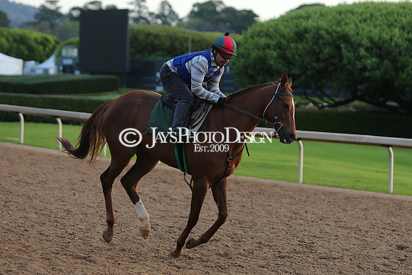 z240330_ArkansasDerbyDay_JWM_0124